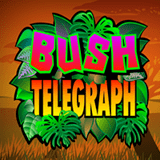 Bush Telegraph™